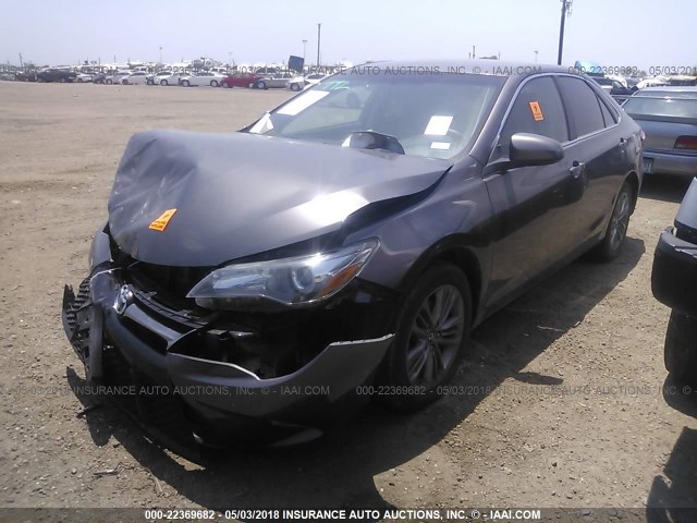 4T1BF1FK8HU656694 - 2017 TOYOTA CAMRY LE/XLE/SE/XSE GRAY photo 2