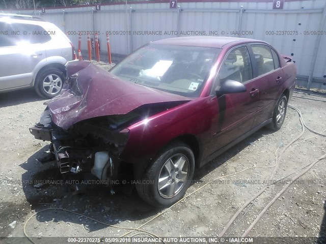 1G1ZT54875F239473 - 2005 CHEVROLET MALIBU LS 勃艮第红 照片 2