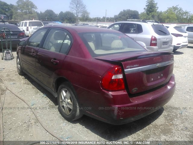 1G1ZT54875F239473 - 2005 CHEVROLET MALIBU LS 勃艮第红 照片 3