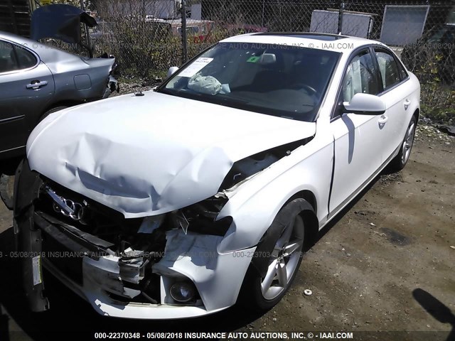 WAUKFAFL8BA100596 - 2011 AUDI A4 PRESTIGE WHITE photo 2