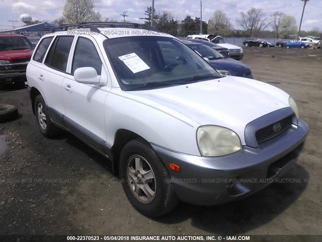 KM8SB12B53U417596 - 2003 HYUNDAI SANTA FE GL WHITE photo 1