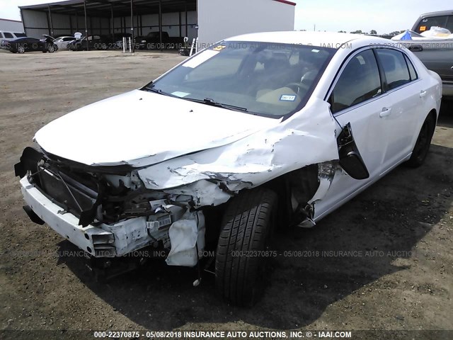 1G1ZA5EU0CF170737 - 2012 CHEVROLET MALIBU LS 白色 照片 2