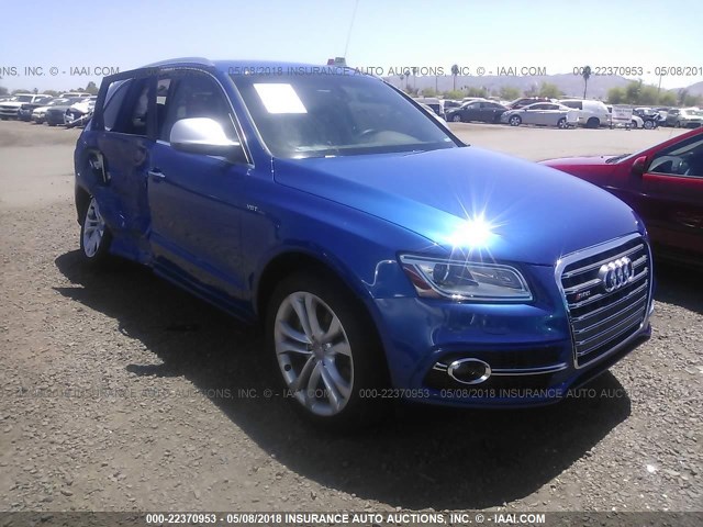 WA1CGAFP6FA024903 - 2015 AUDI SQ5 PREMIUM PLUS BLUE photo 1