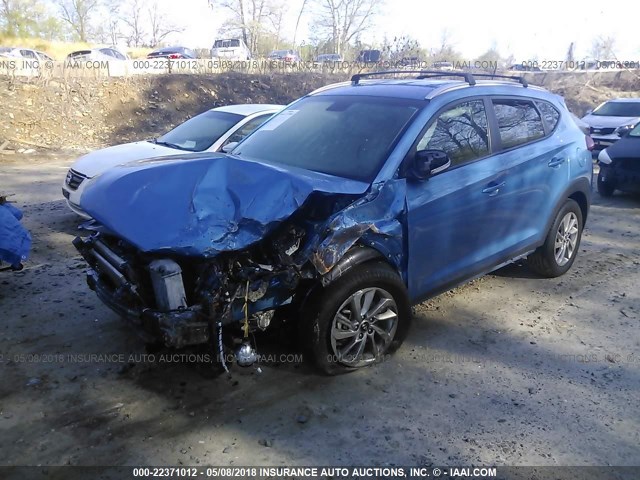 KM8J3CA28HU311396 - 2017 HYUNDAI TUCSON LIMITED/SPORT AND ECO/SE BLUE photo 2