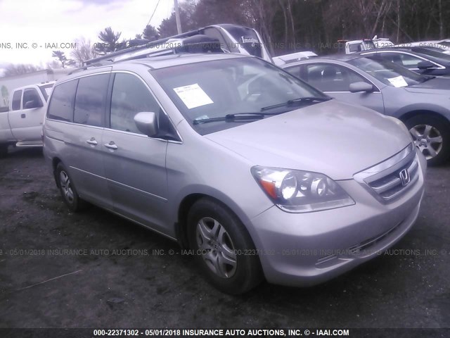 5FNRL386X5B053595 - 2005 HONDA ODYSSEY EXL ვერცხლისფერი ფოტო 1