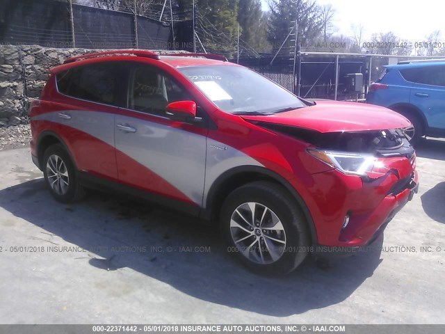 JTMRJREV6HD098176 - 2017 TOYOTA RAV4 HV LE/XLE RED photo 1