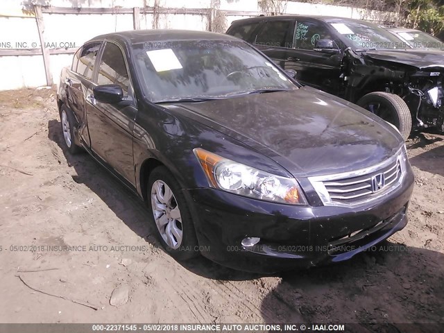 5KBCP3F85AB004251 - 2010 HONDA ACCORD EXL BLACK photo 1