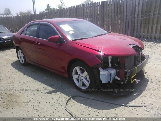 4T1BF1FK2DU677020 - 2013 TOYOTA CAMRY L/SE/LE/XLE RED photo 1