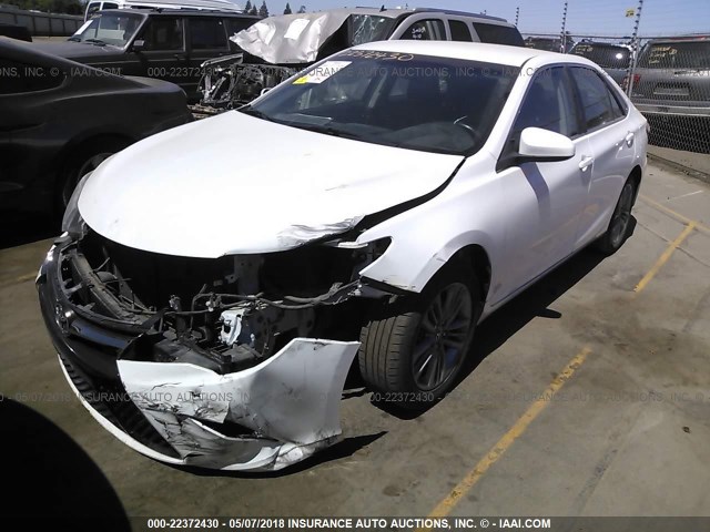 4T1BF1FK7FU956689 - 2015 TOYOTA CAMRY LE/XLE/SE/XSE WHITE photo 2