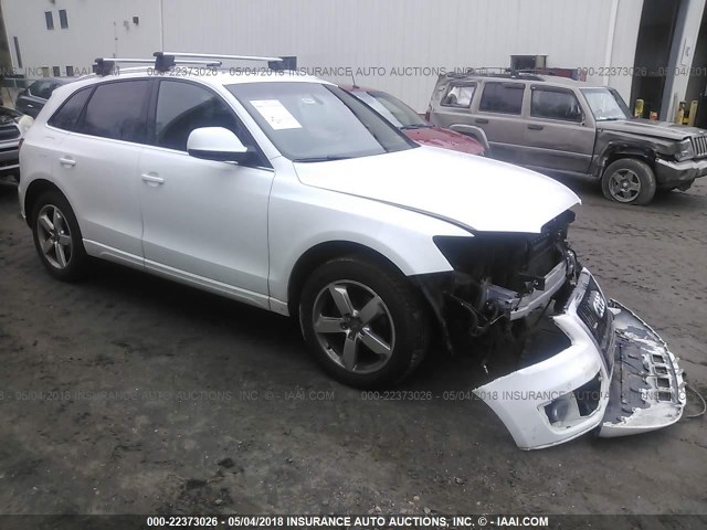 WA1LKAFP2AA055976 - 2010 AUDI Q5 PREMIUM PLUS WHITE photo 1