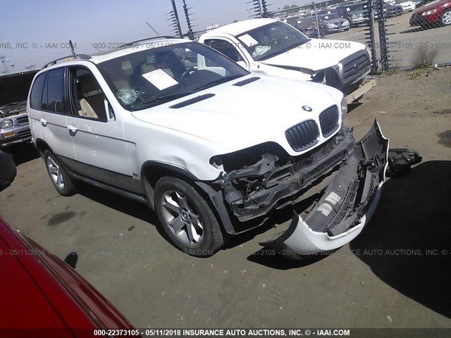 5UXFA13545LY12717 - 2005 BMW X5 3.0I WHITE photo 1