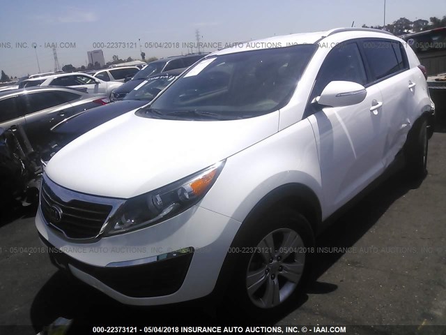 KNDPB3A2XD7501193 - 2013 KIA SPORTAGE LX WHITE photo 2