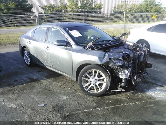 1N4AA5AP5EC457781 - 2014 NISSAN MAXIMA S/SV GRAY photo 1