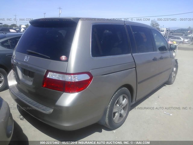 5FNRL38256B046312 - 2006 HONDA ODYSSEY LX GOLD photo 4