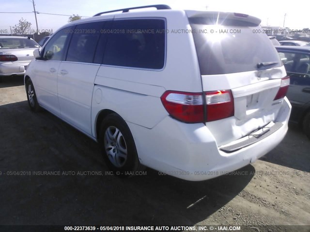 5FNRL38735B107294 - 2005 HONDA ODYSSEY EXL თეთრი ფოტო 3