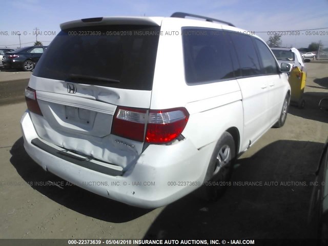 5FNRL38735B107294 - 2005 HONDA ODYSSEY EXL თეთრი ფოტო 4
