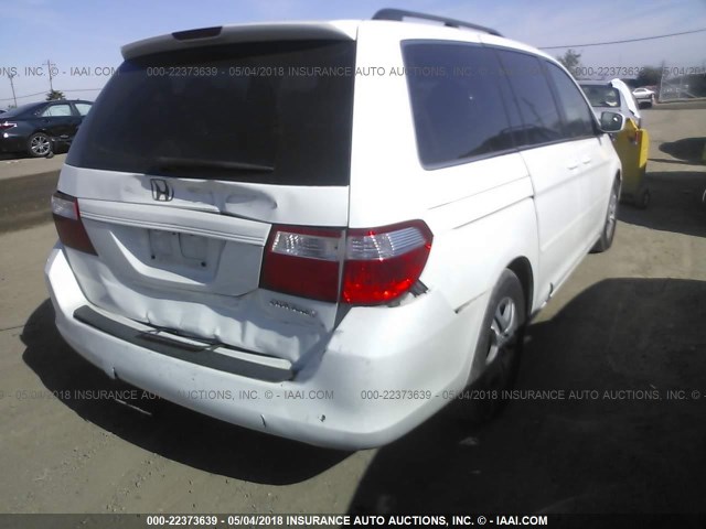 5FNRL38735B107294 - 2005 HONDA ODYSSEY EXL თეთრი ფოტო 6