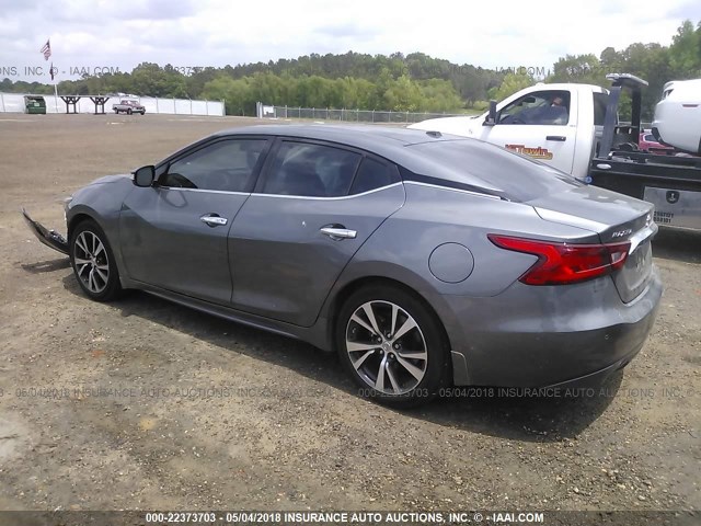 1N4AA6AP7HC437378 - 2017 NISSAN MAXIMA 3.5S/SV/SL/SR/PLAT GRAY photo 3