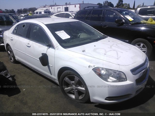 1G1ZC5EU0BF132837 - 2011 CHEVROLET MALIBU 1LT 白色 照片 1