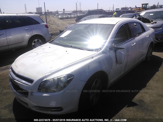1G1ZC5EU0BF132837 - 2011 CHEVROLET MALIBU 1LT 白色 照片 2