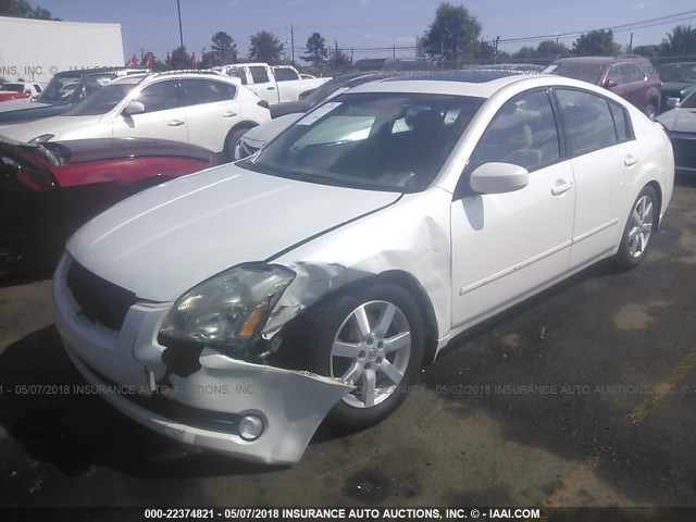 1N4BA41E95C843486 - 2005 NISSAN MAXIMA SE/SL WHITE photo 2