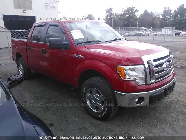 1FTFW1EF9CKD17683 - 2012 FORD F150 SUPERCREW RED photo 1