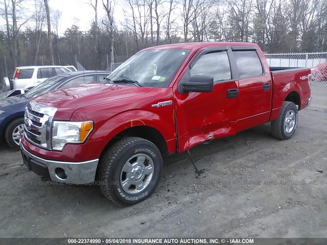 1FTFW1EF9CKD17683 - 2012 FORD F150 SUPERCREW RED photo 2