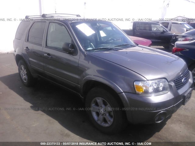 1FMCU94125KA28396 - 2005 FORD ESCAPE LIMITED GRAY photo 1