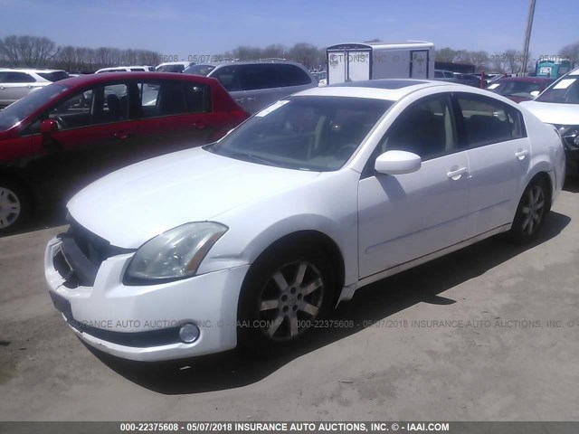 1N4BA41E26C843623 - 2006 NISSAN MAXIMA SE/SL WHITE photo 2