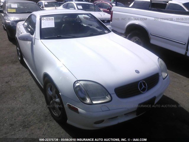 WDBKK65F61F193576 - 2001 MERCEDES-BENZ SLK 320 WHITE photo 1