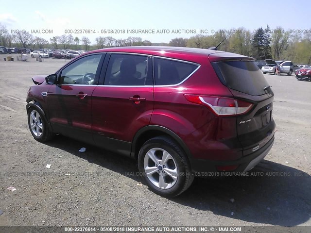 1FMCU0GX4EUB06497 - 2014 FORD ESCAPE SE RED photo 3