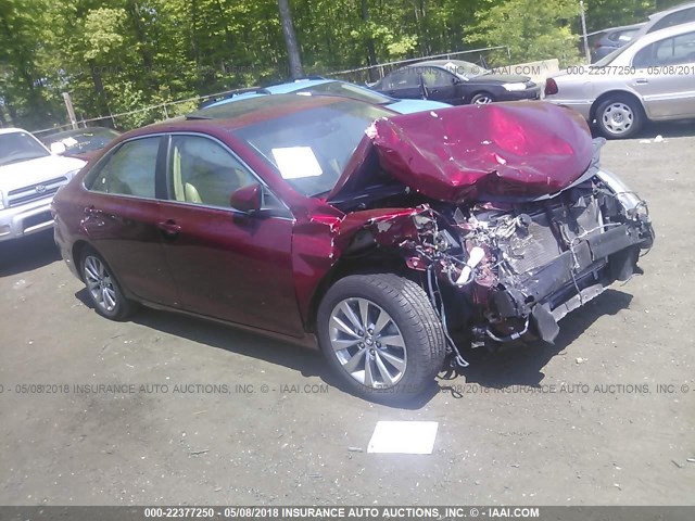 4T1BF1FK2FU992435 - 2015 TOYOTA CAMRY LE/XLE/SE/XSE RED photo 1