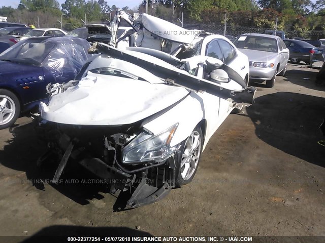 1N4AA5AP0CC825717 - 2012 NISSAN MAXIMA S/SV WHITE photo 2