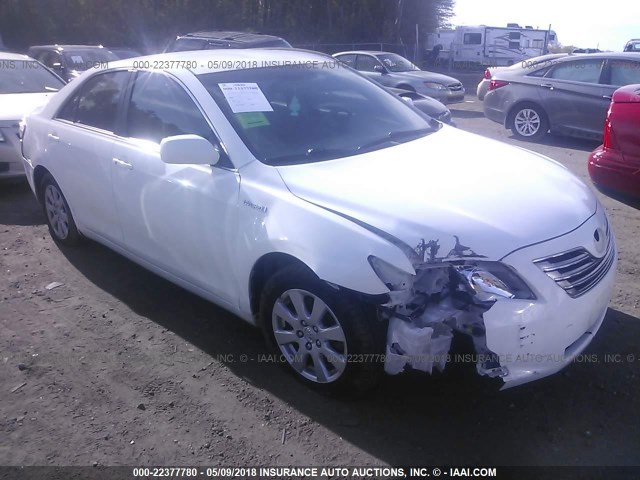 JTNBB46K983047388 - 2008 TOYOTA CAMRY HYBRID WHITE photo 1