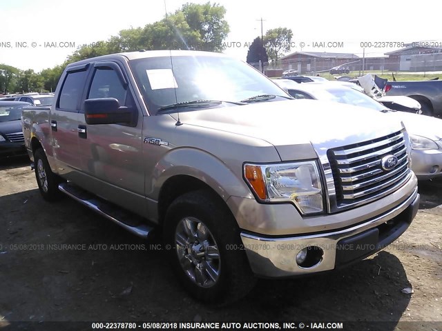 1FTFW1CF7BFC62290 - 2011 FORD F150 SUPERCREW GOLD photo 1