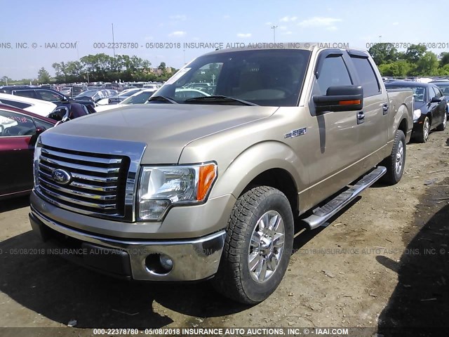 1FTFW1CF7BFC62290 - 2011 FORD F150 SUPERCREW GOLD photo 2