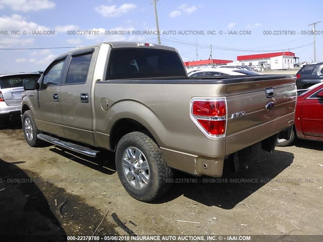 1FTFW1CF7BFC62290 - 2011 FORD F150 SUPERCREW GOLD photo 3