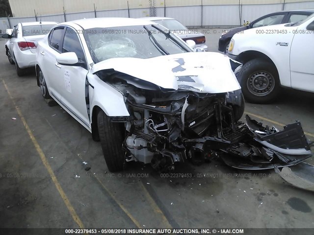 KNAGN4AD1E5076410 - 2014 KIA OPTIMA HYBRID WHITE photo 1