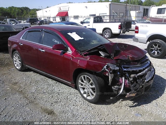 1G1ZE5E13BF308876 - 2011 CHEVROLET MALIBU LTZ 勃艮第红 照片 1