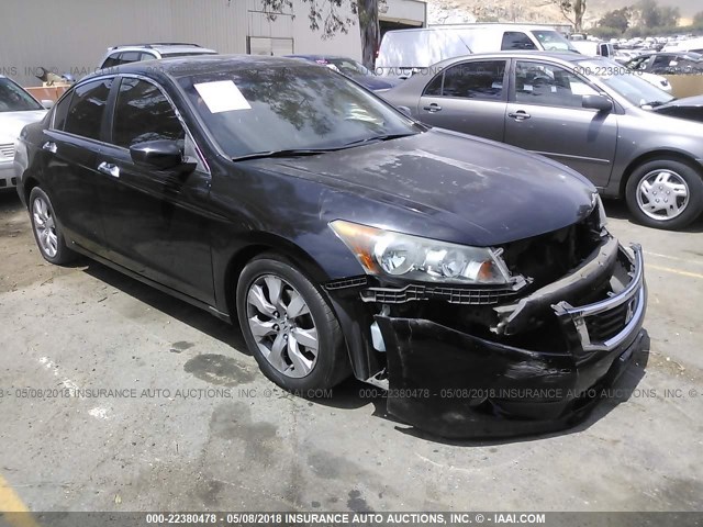 1HGCP36868A072173 - 2008 HONDA ACCORD EXL BLACK photo 1