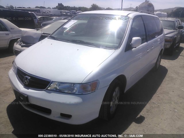 2HKRL18092H566835 - 2002 HONDA ODYSSEY EXL WHITE photo 2