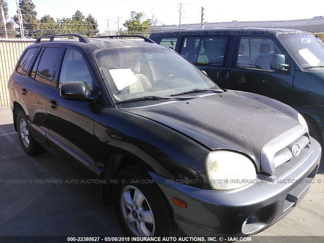 KM8SC73D46U047939 - 2006 HYUNDAI SANTA FE GLS/LIMITED BLACK photo 1