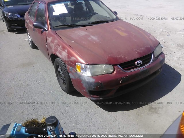 1NXBR12E61Z490088 - 2001 TOYOTA COROLLA CE/LE/S RED photo 1