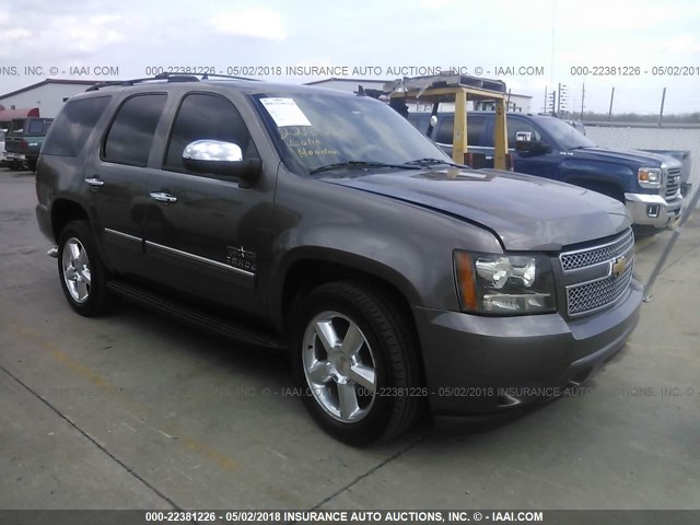 1GNSCAE01DR347912 - 2013 CHEVROLET TAHOE C1500  LS TAN photo 1