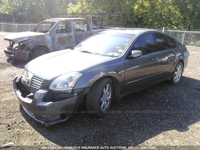 1N4BA41E76C849076 - 2006 NISSAN MAXIMA SE/SL GRAY photo 2