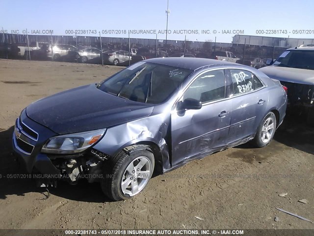 1G11B5SA6DF155178 - 2013 CHEVROLET MALIBU LS 蓝色 照片 2