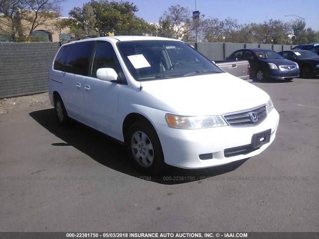 5FNRL18964B064087 - 2004 HONDA ODYSSEY EXL WHITE photo 1