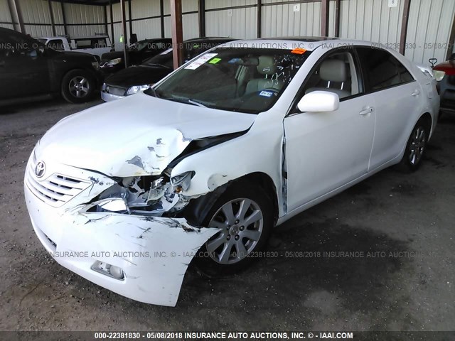 4T1BK46K68U561709 - 2008 TOYOTA CAMRY LE/XLE/SE თეთრი ფოტო 2