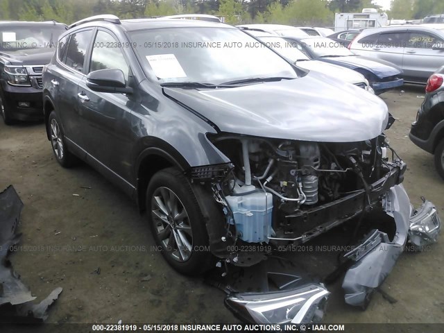 JTMDFREV4GD175802 - 2016 TOYOTA RAV4 LIMITED Boz foto 1