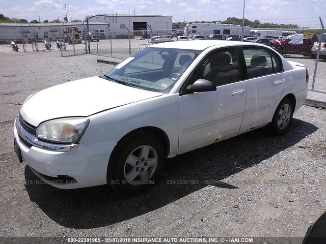 1G1ZT528X5F292185 - 2005 CHEVROLET MALIBU LS WHITE photo 2